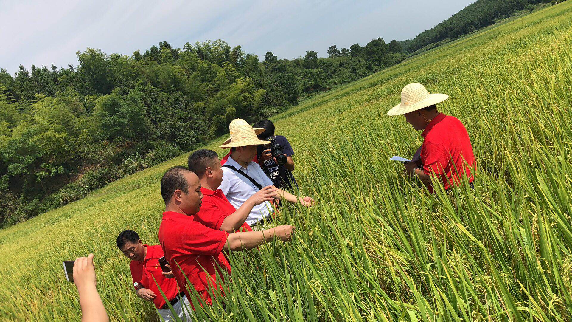 郴州市金土地化肥有限公司,湖南配方肥定點加工,林木肥銷售,有機肥質(zhì)量 郴州市金土地化肥有限公司,湖南配方肥定點加工,林木肥銷售,有機肥質(zhì)量